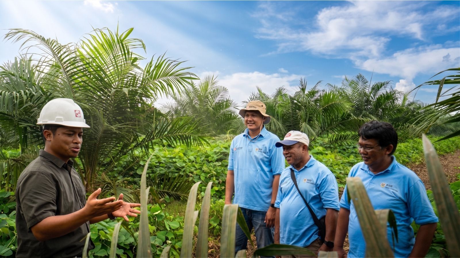 Kemitraan memperkuat pengelolaan kebun melalui pendampingan Good Agricultural Practices (GAP).