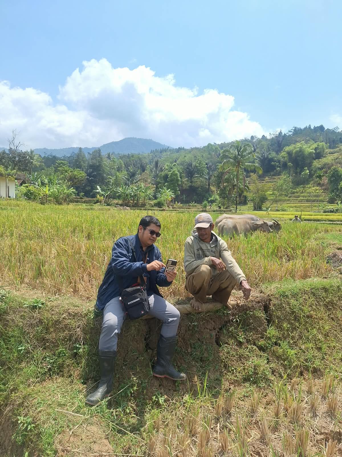 Masyarakat di Banjarwangi, Kabupaten Garut, menggantungkan hidup pada sektor agraris seperti budi daya sayuran, padi, palawija, peternakan rakyat, hingga produksi olahan industri rumahan. (Foto: Istimewa/BRI) 