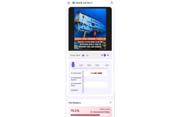 Hasil pemeriksaan menggunakan AI Detector. (Hive Moderation) <b>(Antara)</b>