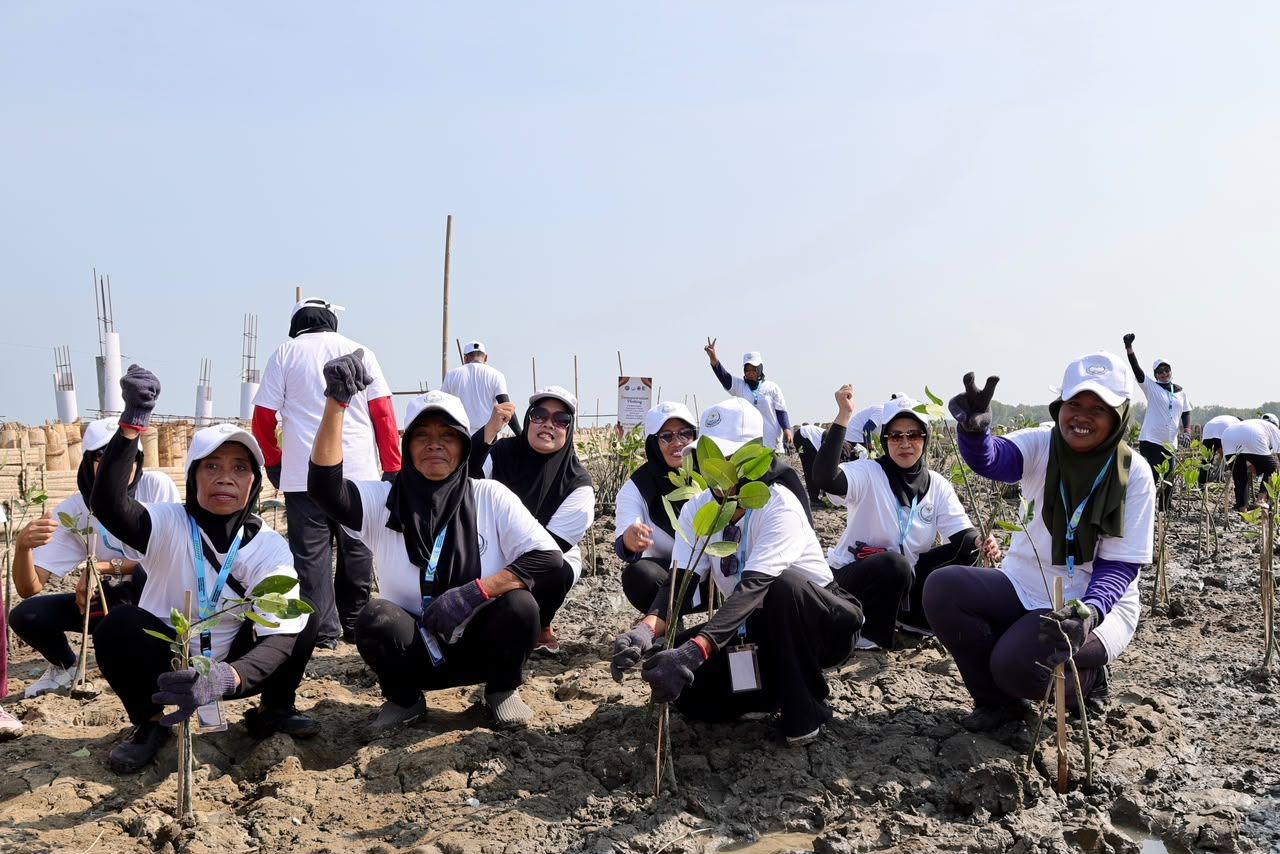 Warga pesisir Desa Timbulsloko menunjukkan semangat dan antusiasme tinggi saat berpartisipasi dalam program pemulihan ekosistem melalui penanaman mangrove.