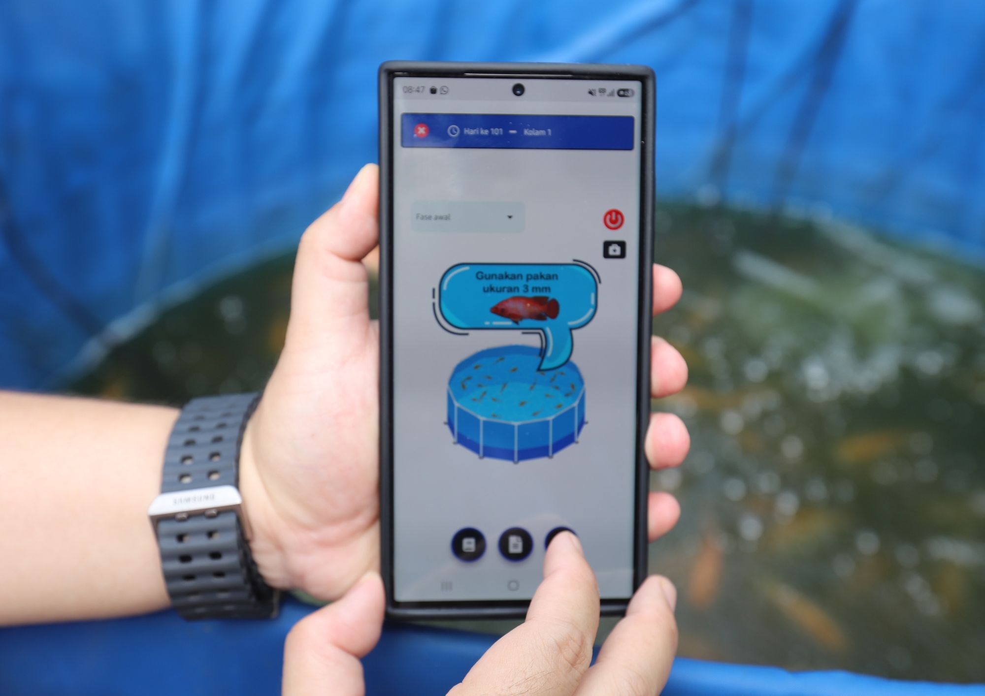 Pengelolaan budidaya ikan nila di Panti Werdha Muslim Rumah Oma didukung aplikasi digital PNM Fish Care untuk memantau pertumbuhan dan kondisi ikan secara terukur.