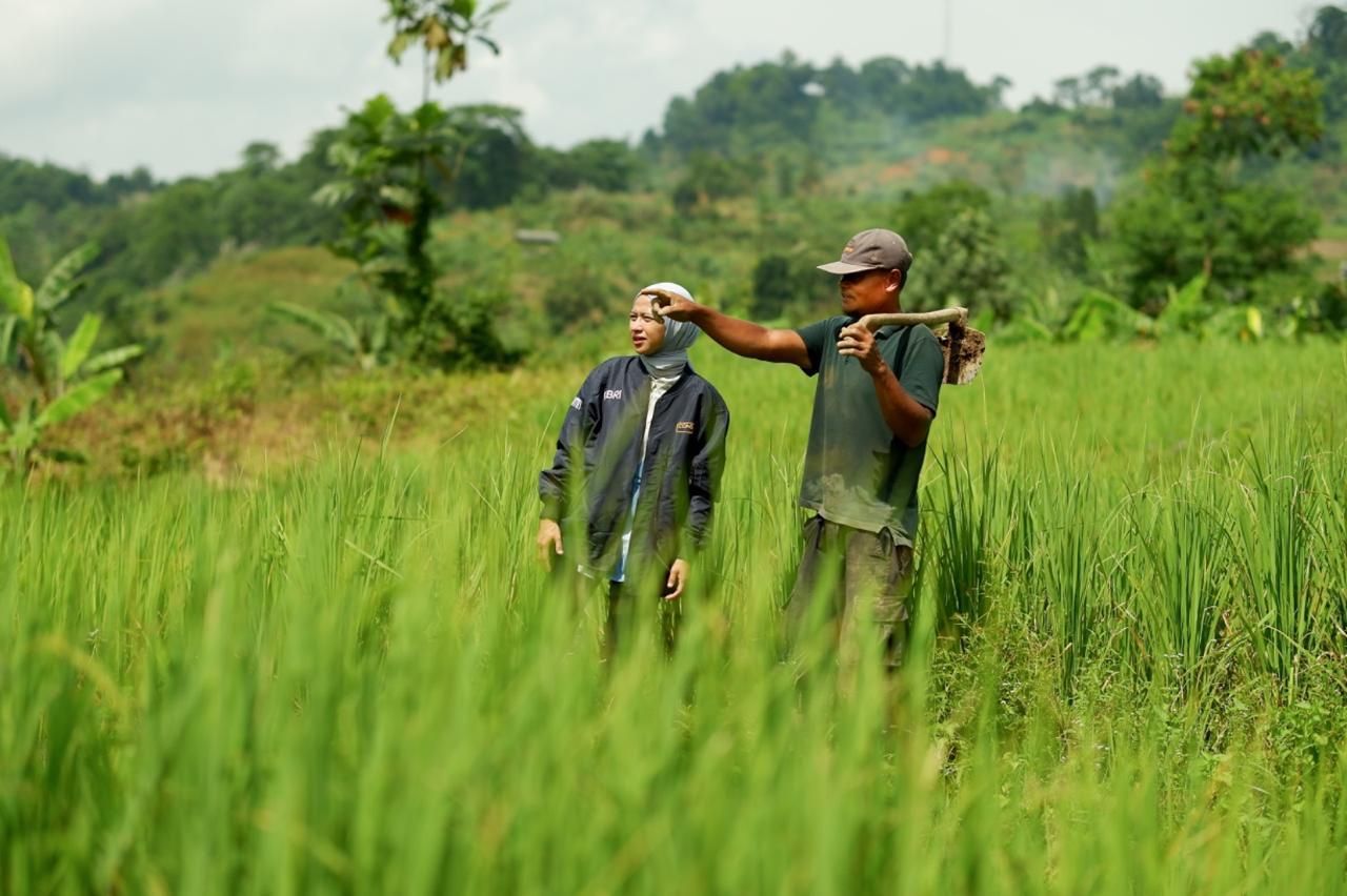 Pendampingan dan penyaluran pembiayaan yang inklusif membantu para pelaku usaha di sektor produktif memperkuat ketahanan ekonomi lokal.