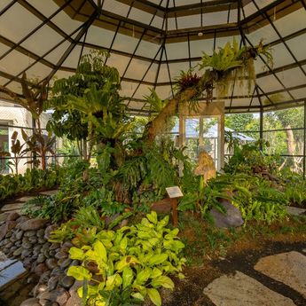 Lestarikan Keanekaragaman Hayati, Nuanu Bali Bikin Magic Garden