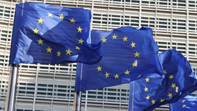 Komisi Eropa dikabarkan meminta negara-negara anggota Uni Eropa (EU) untuk menerapkan sejumlah langkah dukungan guna menghadapi krisis energi yang masih berlangsung. 