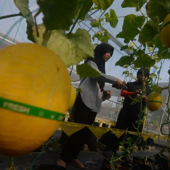 Mendes Yandri Minta Kepala Daerah Maksimalkan Identifikasi Potensi Desa