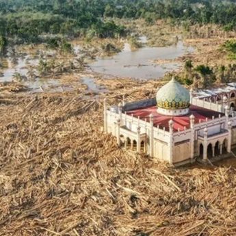 Penampakan 'Lautan' Batang Kayu Penuhi Sekitar Masjid di Aceh Tamiang