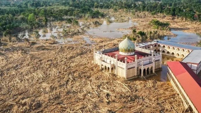 Penampakan Lautan Batang Kayu Penuhi Sekitar Masjid di Aceh Tamiang