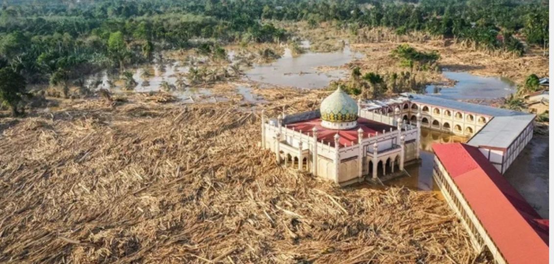 Penampakan Lautan Batang Kayu Penuhi Sekitar Masjid di Aceh Tamiang <b>(Antara)</b>