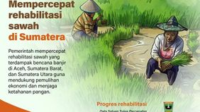 Pemerintah mempercepat rehabilitasi sawah yang terdampak bencana banjir di sejumlah wilayah Sumatera, seperti Aceh, Sumatera Barat, dan Sumatera Utara.