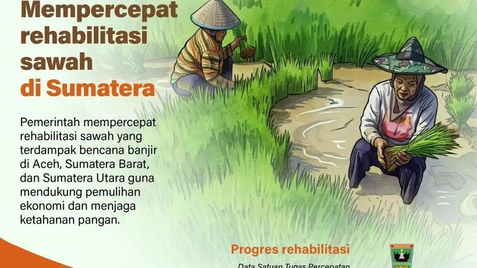 Pemerintah mempercepat rehabilitasi sawah yang terdampak bencana banjir di Aceh, Sumatera Barat, dan Sumatera Utara guna mendukung pemulihan ekonomi dan menjaga ketahanan pangan.