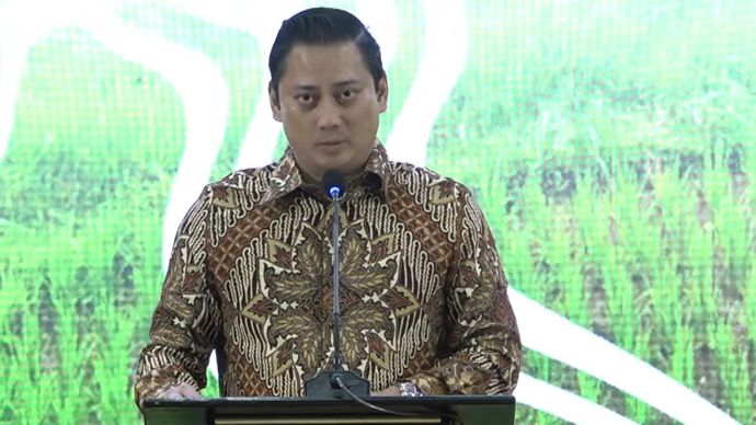 Wakil Menteri Keuangan (Wamenkeu) II Thomas Djiwandono