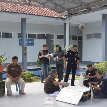 TNI AL Gagalkan Penyelundupan Benih Lobster Senilai Rp2,5 Miliar di Cilacap 