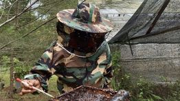 Kepatuhan Jaminan Reklamasi Tambang Naik Drastis, Capai 72 Persen