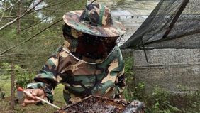 Kementerian Energi dan Sumber Daya Mineral (ESDM) menyampaikan kepatuhan perusahaan tambang terhadap jaminan reklamasi dan pascatambang meningkat signifikan, dari 39 persen menjadi sekitar 72 persen, sebagai bagian dari upaya memperkuat tata kelola p