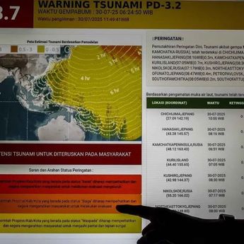 Warga Selandia Baru Terima Peringatan Tsunami di Ponsel Setelah Gempa Dahsyat Guncang Rusia