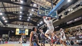 Dewa United Pastikan Langkah ke Semifinal IBL Usai Tumbangkan Hangtuah