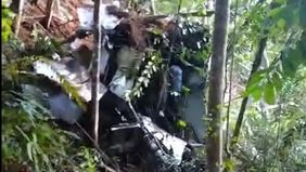 Tim tersebut melibatkan Basarnas, TNI, kepolisian, serta masyarakat setempat yang turut membantu pencarian di wilayah Kecamatan Nanga Taman, Kabupaten Sekadau, Kalimantan Barat.