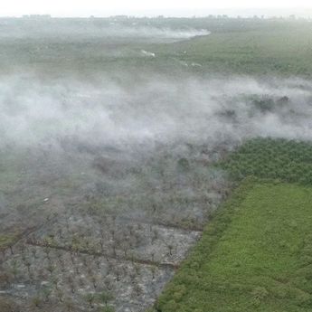 Kebakaran Lahan di Aceh Barat Meluas Jadi 12,8 Hektare