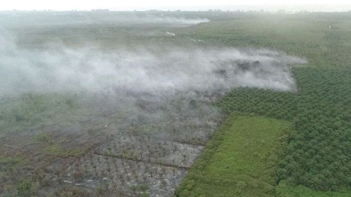 Kebakaran lahan di Desa Lapang-Leuhan, Kecamatan Johan Pahlawan, Kabupaten Aceh Barat terpantau dari udara, Selasa, 23 September 2025.