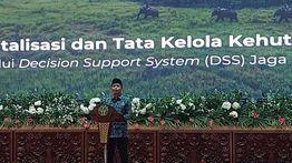 Menhut Luncurkan DSS Jaga Rimba untuk Perkuat Tata Kelola Hutan Berbasis Data