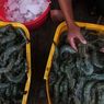 KKP: Udang Lokal Tetap Jadi Primadona Masyarakat Indonesia