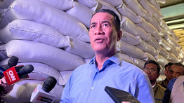 Pemerintah Tetapkan HPP Gabah Rp6.500 per Kg untuk Jaga Kesejahteraan Petani