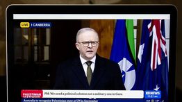 PM Australia Tegaskan Pengakuan Palestina
