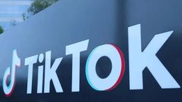 TikTok Perkenalkan Footnotes, Fitur Pemeriksa Fakta ala Community Notes