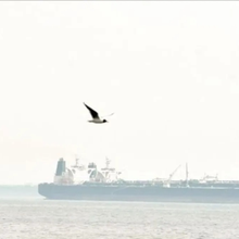 AS Klaim Blokade Maritim Iran Efektif, Lalu Lintas Kapal Terhenti dalam 36 Jam