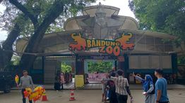 Terdakwa Kasus Korupsi Bandung Zoo Gugat Wali Kota Bandung Farhan