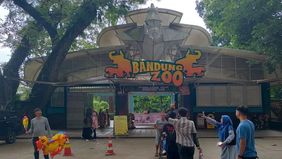 Wali Kota Bandung Muhammad Farhan bersama Pemerintah Kota Bandung digugat ke Pengadilan Negeri (PN) Bandung oleh enam orang, termasuk terdakwa kasus korupsi Kebun Binatang Bandung atau Bandung Zoo.