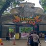 Terdakwa Kasus Korupsi Bandung Zoo Gugat Wali Kota Bandung Farhan