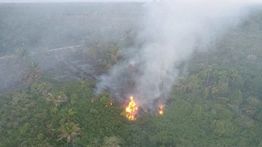 BPBD: 8,8 Hektare Lahan Terbakar di Aceh Barat