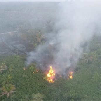 BPBD: 8,8 Hektare Lahan Terbakar di Aceh Barat