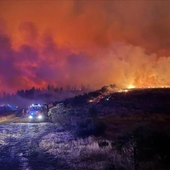 Kebakaran Hebat Landa Taman Nasional Tongariro Selandia Baru, 1.800 Hektar Hangus