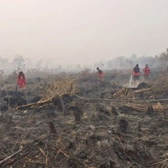 12 Orang Jadi Tersangka Karhutla di Kalteng