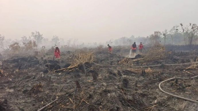 Petugas terus berupaya melakukan penanganan karhutla di kawasan Petuk Katimpun, Palangka Raya, Rabu, 19 Agustus 2026.