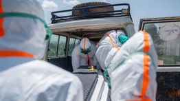 WHO: Kasus Ebola di Kongo Tembus 1.000 dalam Sebulan, 267 Orang Meninggal