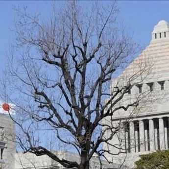 Kampanye Pemilihan Presiden LDP Jepang Resmi Dimulai, Lima Kandidat Bertarung