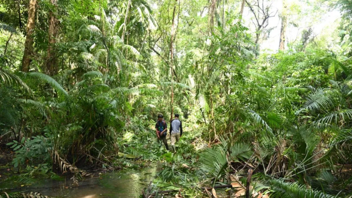 Petugas dari Monitoring Badak Jawa tengah melintas di areal Javan Rhino Studi and Conservation Area (JRSCA) di Taman Nasional Ujung Kulon, Banten.