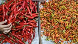 Harga Cabai Rawit Turun Jadi Rp41.587/kg, Bawang Merah Rp44.815/kg