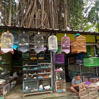 Pasar Hewan Barito Diratakan Demi Bangun Taman ASEAN di Jaksel