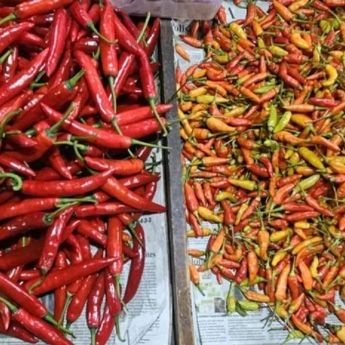 Harga Cabai Rawit Turun Jadi Rp41.587/kg, Bawang Merah Rp44.815/kg