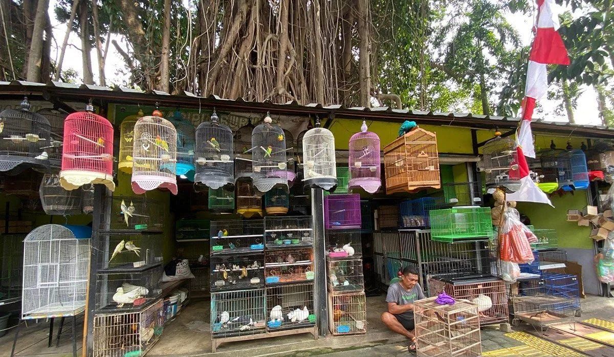 Arsip foto - Suasana Pasar Hewan Barito usai direvitalisasi, Jakarta, Jumat 4 Juli 2025. ANTARA/Luthfia Miranda Putri/aa.