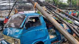 Angkot Tertimpa Pohon Tumbang di Pondok Labu, Sopir Selamat