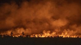 47 Hektare Lahan Terbakar, Sumsel Tetapkan Status Siaga Darurat Karhutla