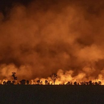 47 Hektare Lahan Terbakar, Sumsel Tetapkan Status Siaga Darurat Karhutla