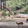 YMT Desak Wali Kota Bandung Beri Kepastian Soal Masa Depan Bandung Zoo