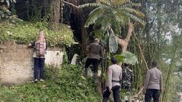 Lembang Park Zoo Akui Macan Tutul Kabur dari Kandang Karantina