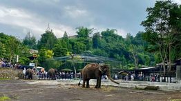 Lembang Park Zoo Tutup Sementara Usai Macan Tutul Lepas dari Kandang